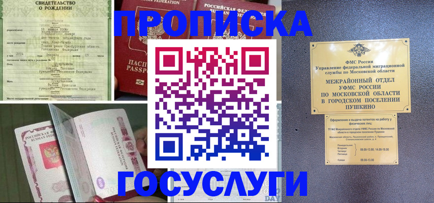 временная регистрация для всех в Светлограде